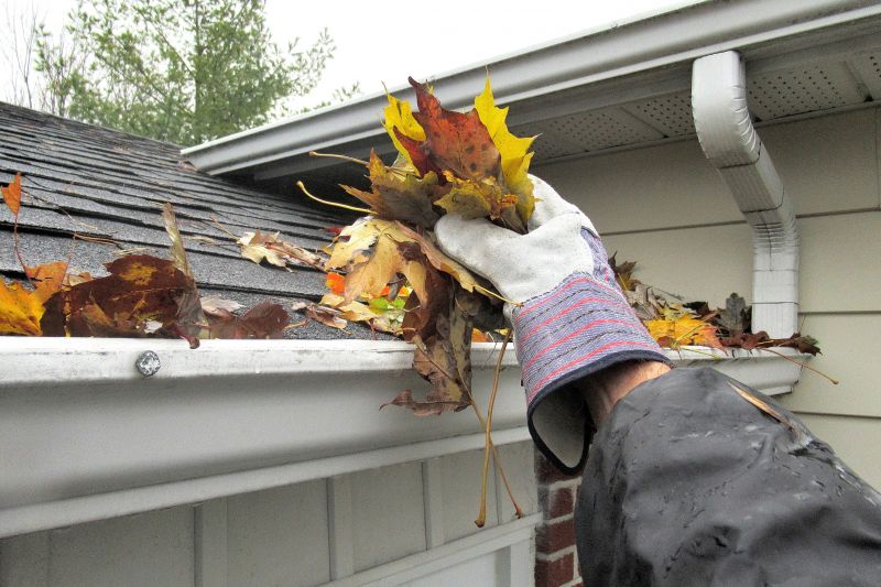Gutter Cover System in Action