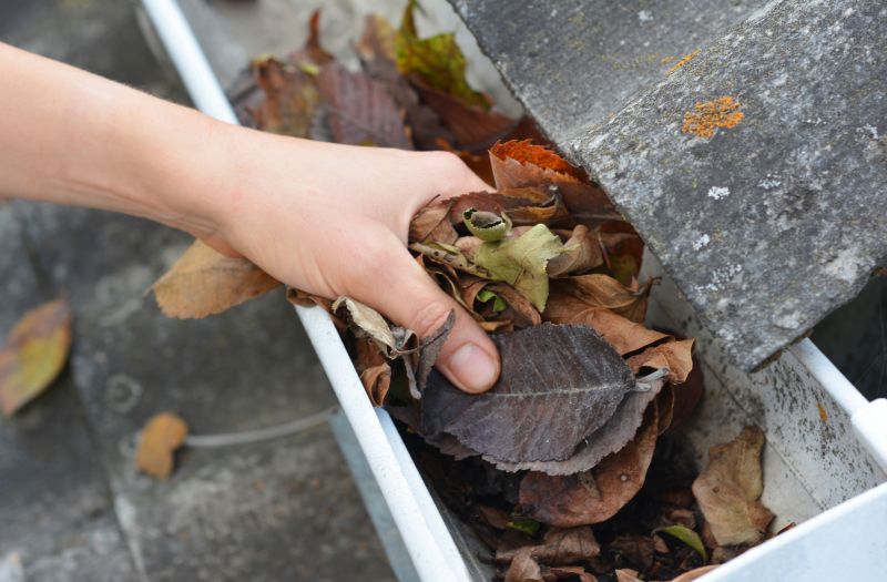 Clean Gutters with Covers